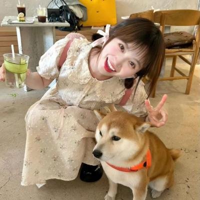 青春在线